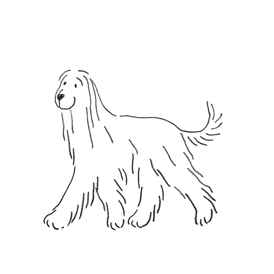 Illustration eines laufenden Hundes